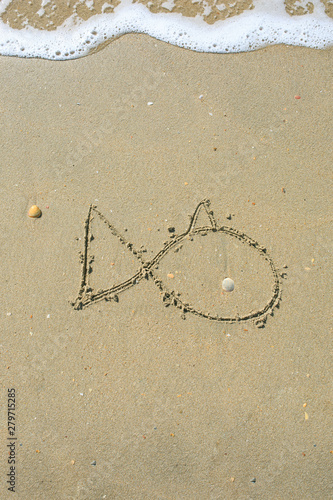 fish drawn on the sand beach