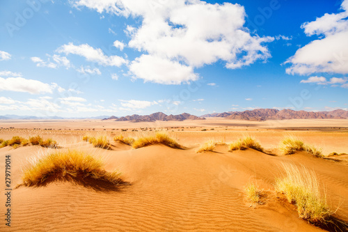 Namib desert landscape