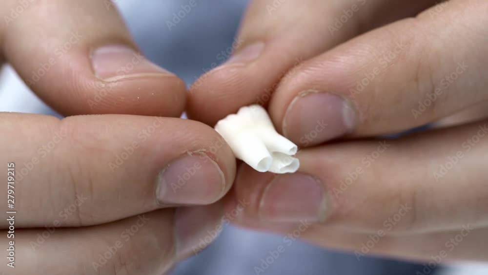 Closeup view at white molar tooth in male hands Closeup view at white molar tooth in male hands