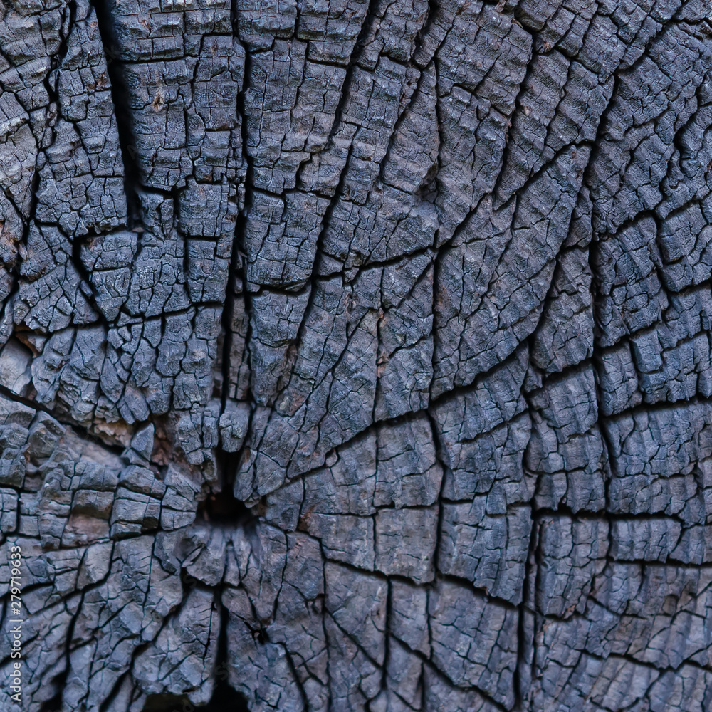Rustic wood background with copy space Rustic wood background with copy space