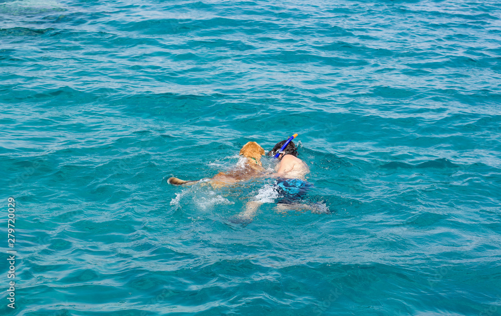 dog and boy swimming together in Red sea vivid blue water, photography from top with empty space for copy or text