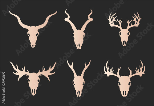 Vector set of six hand drawn gold silhouettes skulls of horned animals: stag, roe deer, moose and antelope on black background.