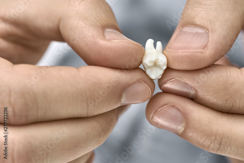 Φωτογραφία Closeup view at white molar tooth in male hands