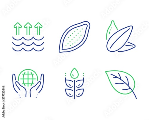 Gluten free, Cocoa nut and Sunflower seed line icons set. Organic tested, Evaporation and Leaf signs. Bio ingredients, Vegetarian food, Safe nature. Global warming. Nature set. Vector