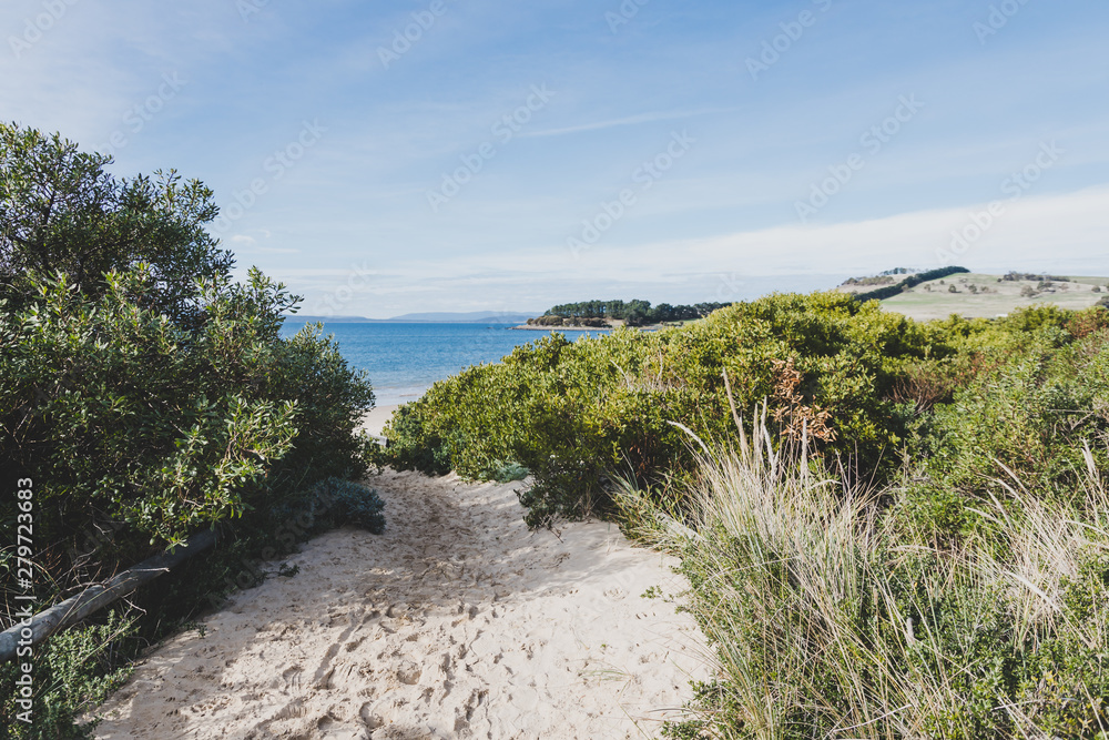 sunny Australian beach in Cremorne, Tasmania sunny Australian beach in Cremorne, Tasmania