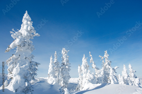 A Snow Covered Mountain Scene