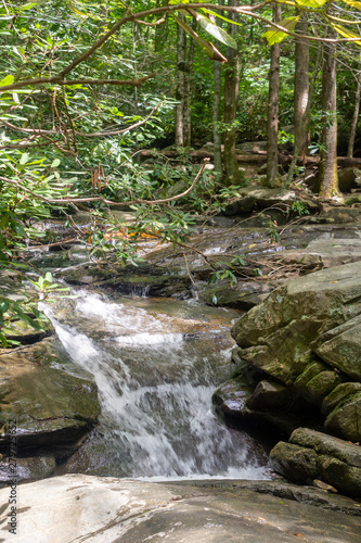 small waterfall in the forest