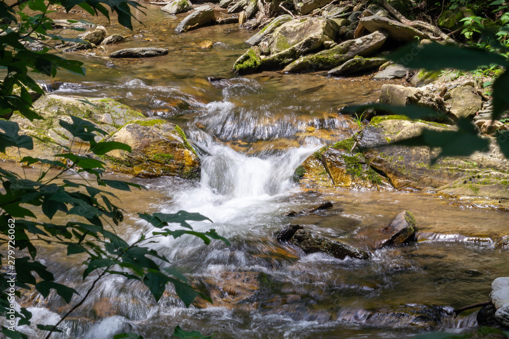Fototapeta premium waterfall in the forest
