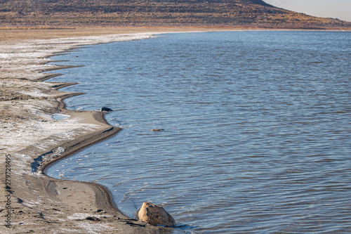 Jagged shoreline of the Great Salt Lake