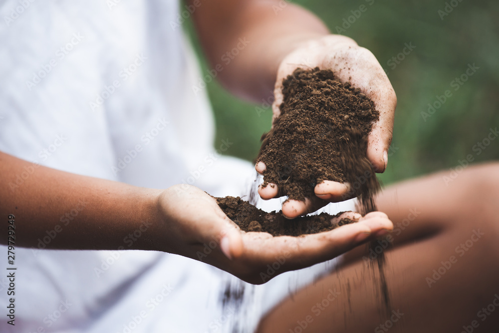 Child hand holding the soil prepare for plant the tree Child hand holding the soil prepare for plant the tree