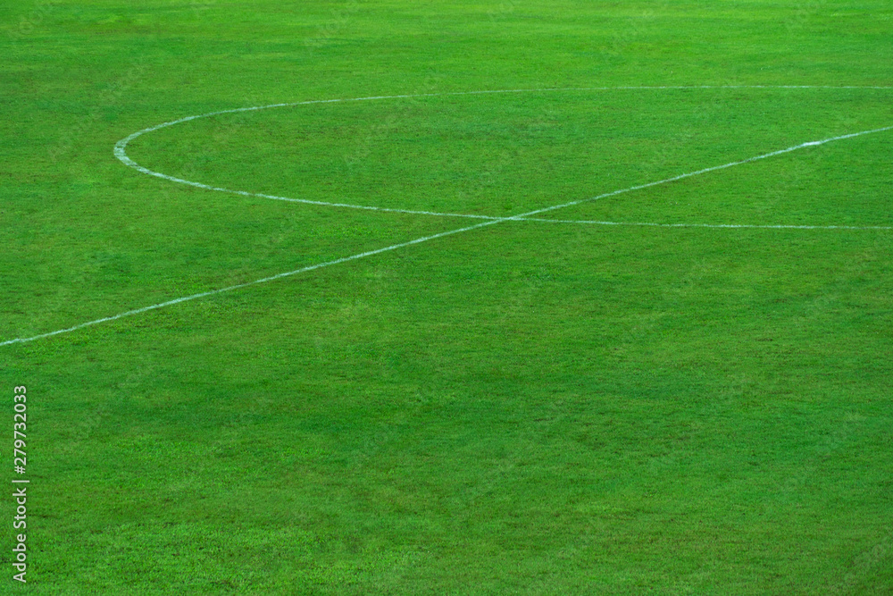 green natural grass of football or soccer field with part of center round white line for sport background