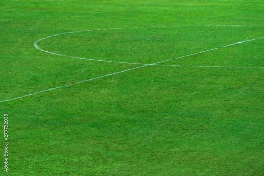 Obraz premium green natural grass of football or soccer field with part of center round white line for sport background