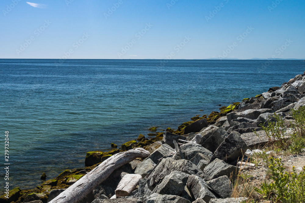 great algae and drift wood covered rocky coast near the blue ocean on a sunny day under clear blue sky great algae and drift wood covered rocky coast near the blue ocean on a sunny day under clear blue sky