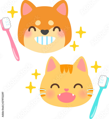 きれいな歯の犬、猫と歯ブラシ