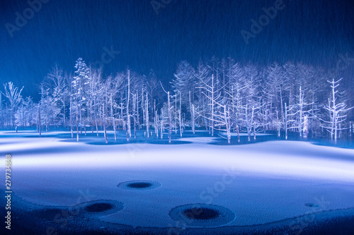 美瑛町 雪景色の青い池ライトアップ