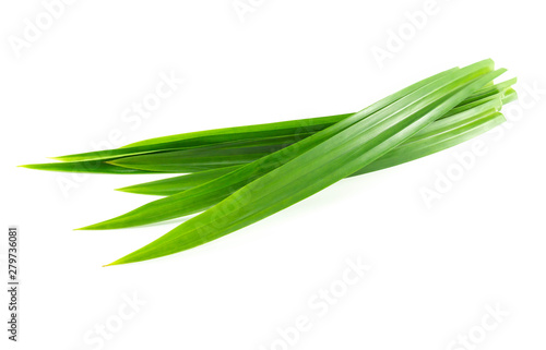 Fresh green pandan leaves isolated on white background