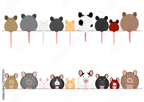 cute mice and rats in a row