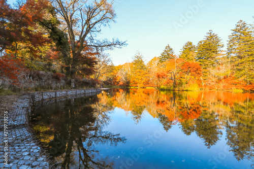 Beautiful Japan autumn at Kumoba Pond or Kumoba ike of Karuizawa  Nagano Prefecture Japan.