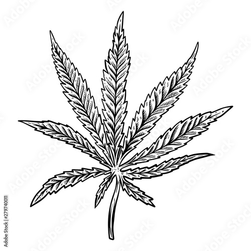Illustration of cannabis leaf isolated on white background. Design element for poster, banner, t shirt, emblem. Vector illustration