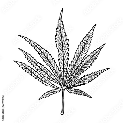 Illustration of cannabis leaf isolated on white background. Design element for poster, banner, t shirt, emblem. Vector illustration