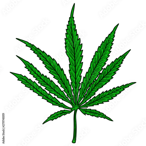 Illustration of cannabis leaf isolated on white background. Design element for poster, banner, t shirt, emblem. Vector illustration
