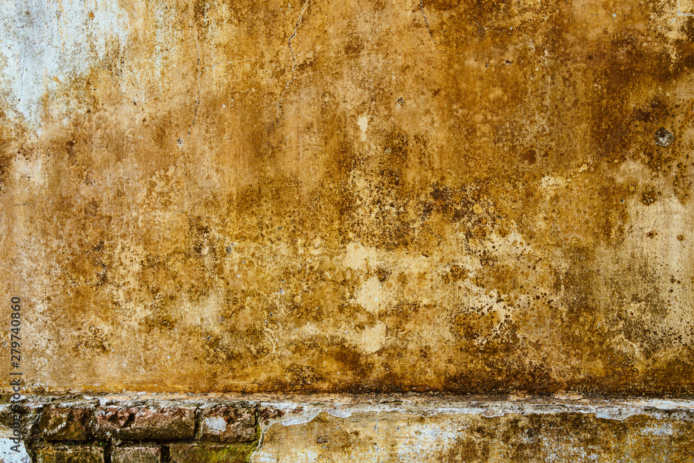 Fototapeta premium Old brick wall