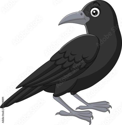 Cartoon crow isolated on white background