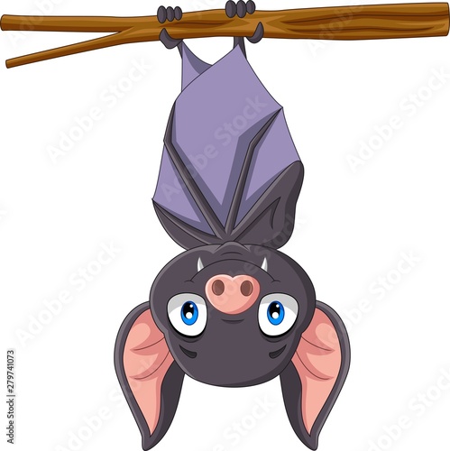 Cute bat cartoon hanging on the branch