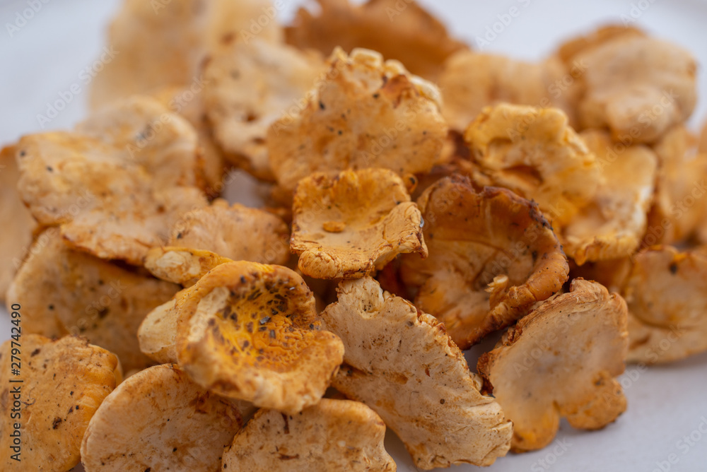 Raw wild mushrooms chanterelles in bowl on old wooden backgroundRaw wild mushrooms chanterelles in bowl on old wooden background Raw wild mushrooms chanterelles in bowl on old wooden backgroundRaw wild mushrooms chanterelles in bowl on old wooden background