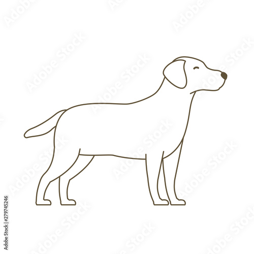 Dog. Animal pets. Labrador retriever. White icon. Outline contour line vector illustration.