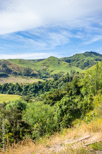 typical rural landscape in New Zealand