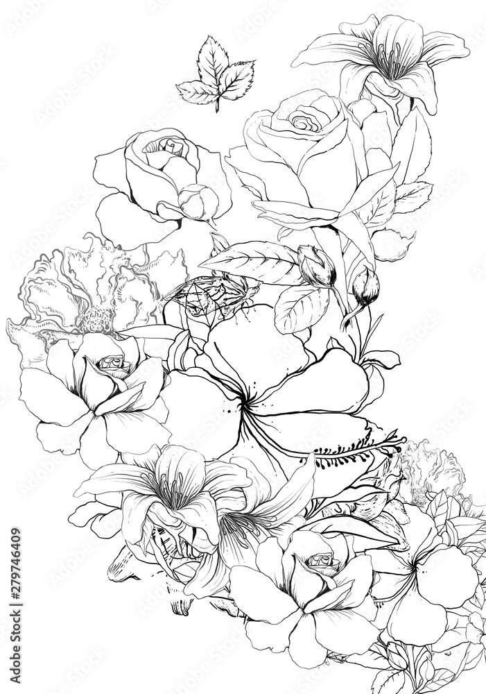 draw the line Black and white of leaves and flower, on white background draw the line Black and white of leaves and flower, on white background
