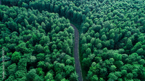 Aerial View of Green Forest with Black Road