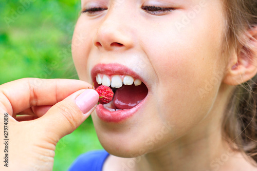 Mom puts ripe strawberries in her daughter's mouth. Season berries. Care and love