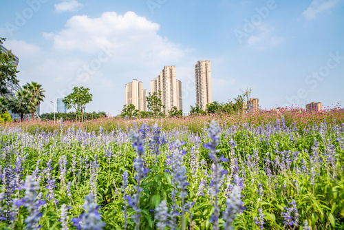 Real estate residential high-rise surrounded by beautiful flower sea in the city center