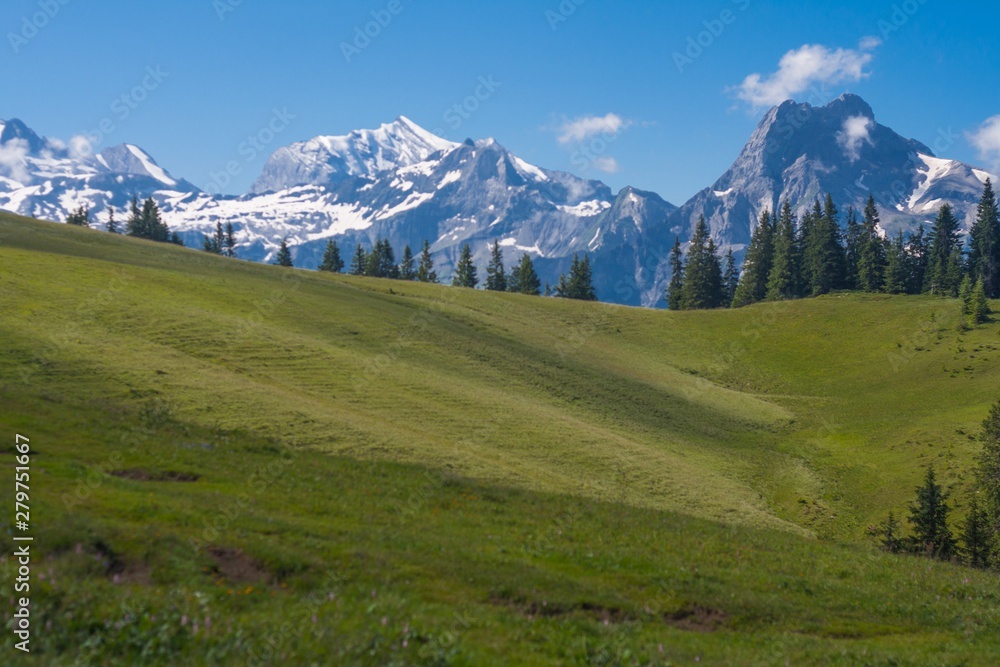Beautiful swiss alps mountains. Alpine meadows