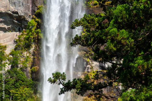 和歌山の神社の木々と巨大な滝の流れ