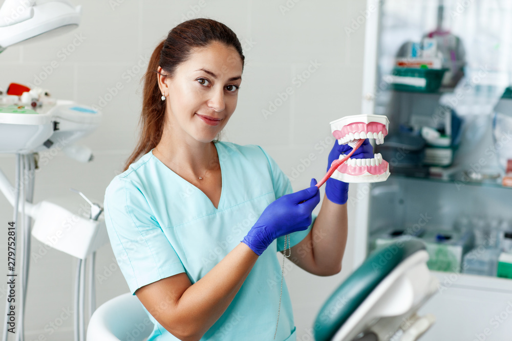 Female dentist, holding a sample of jaw teeth in a dental office, training in proper teeth cleaning, demonstration of oral hygiene Female dentist, holding a sample of jaw teeth in a dental office, training in proper teeth cleaning, demonstration of oral hygiene