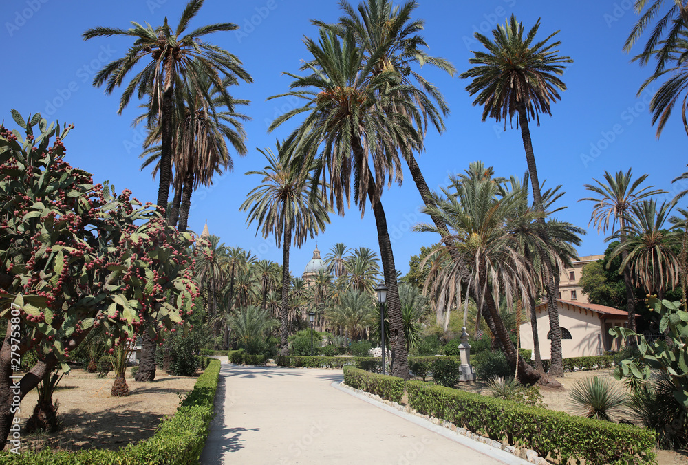 Park mit Palmen in Palermo. Sizilien. Italien Park mit Palmen in Palermo. Sizilien. Italien