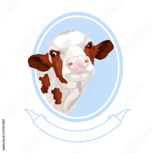 Hand drawn colorful cow head. Calf, bull, cattle vector illustration. Farm animal collection. Design for dairy.