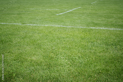 Football green grass