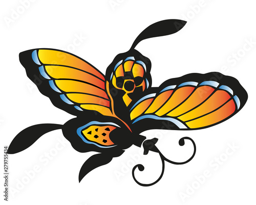 Butterfly abstract isolated on a white backgrounds  vector illustration