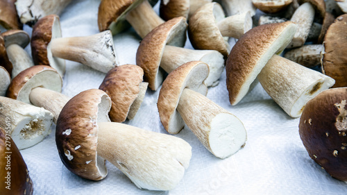 Lot of boletus mushrooms picked from the forest on white cloth