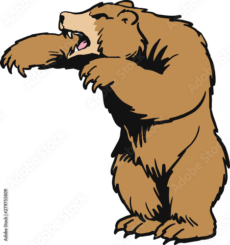 angy bear