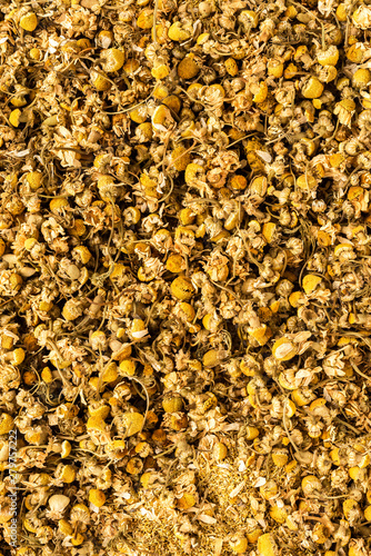 Background with dried camomile flowers. Top view
