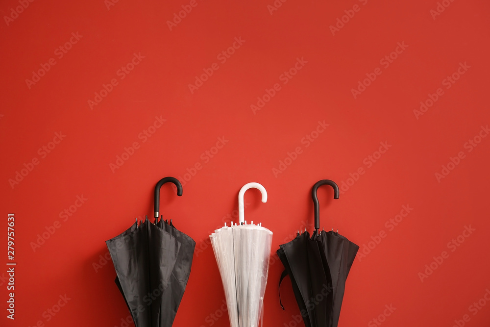 Stylish umbrellas on color background - obrazy, fototapety, plakaty 
