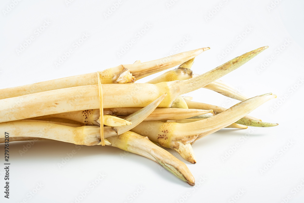 A handful of fresh vegetables on a white background A handful of fresh vegetables on a white background