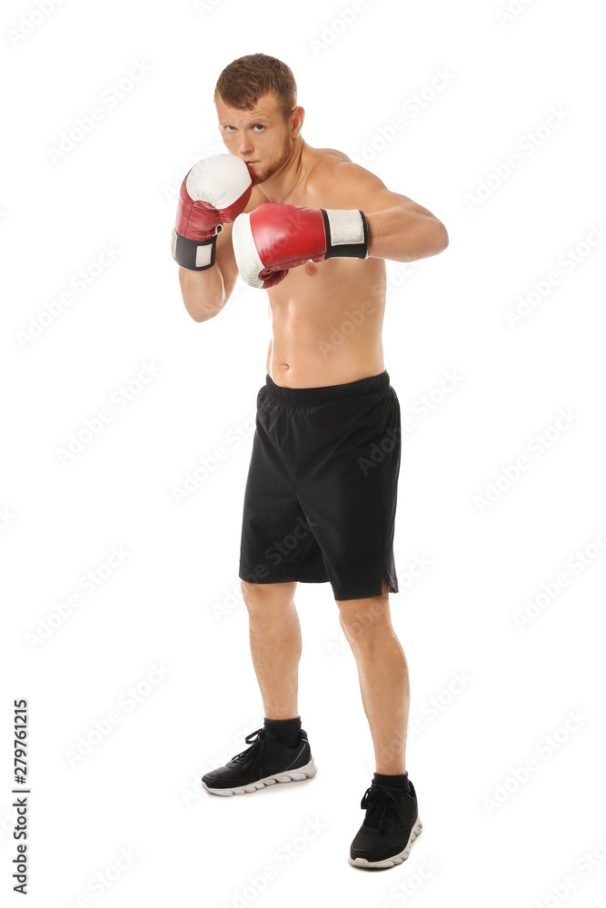 Strong male boxer on white background