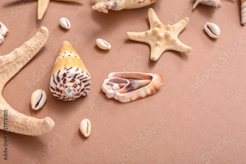 Beautiful sea shells and starfish on color background