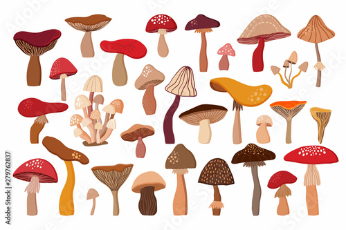 Mushrooms decorative collection with 30 hand drawn different elements isolated on white background